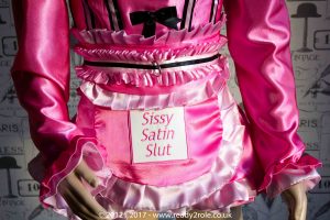 Sissy Dress Candy Cupcake JAN17-21